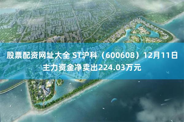 股票配资网址大全 ST沪科（600608）12月11日主力资金净卖出224.03万元