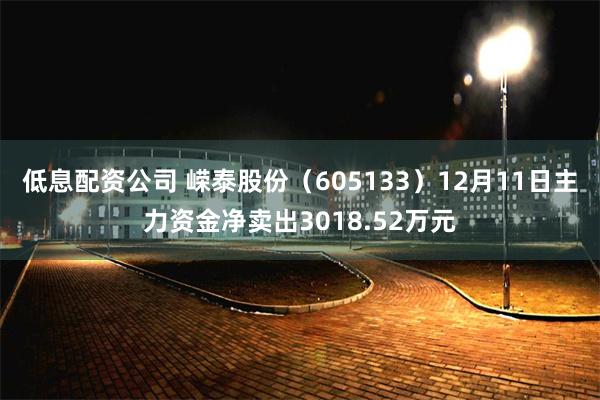 低息配资公司 嵘泰股份（605133）12月11日主力资金净卖出3018.52万元