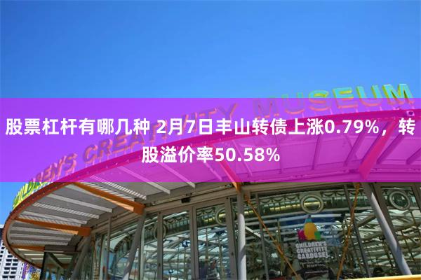 股票杠杆有哪几种 2月7日丰山转债上涨0.79%，转股溢价率50.58%