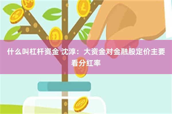 什么叫杠杆资金 沈淳:大资金对金融股定价主要看分红率