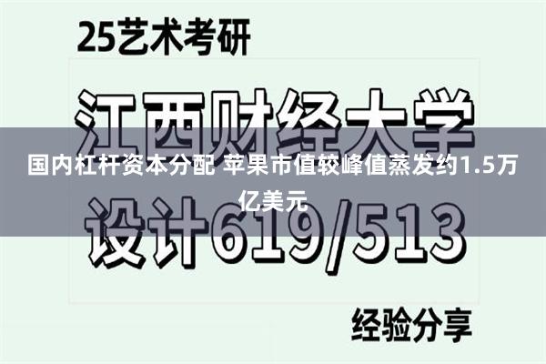 国内杠杆资本分配 苹果市值较峰值蒸发约1.5万亿美元