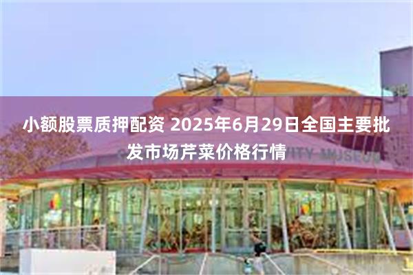 小额股票质押配资 2025年6月29日全国主要批发市场芹菜价格行情